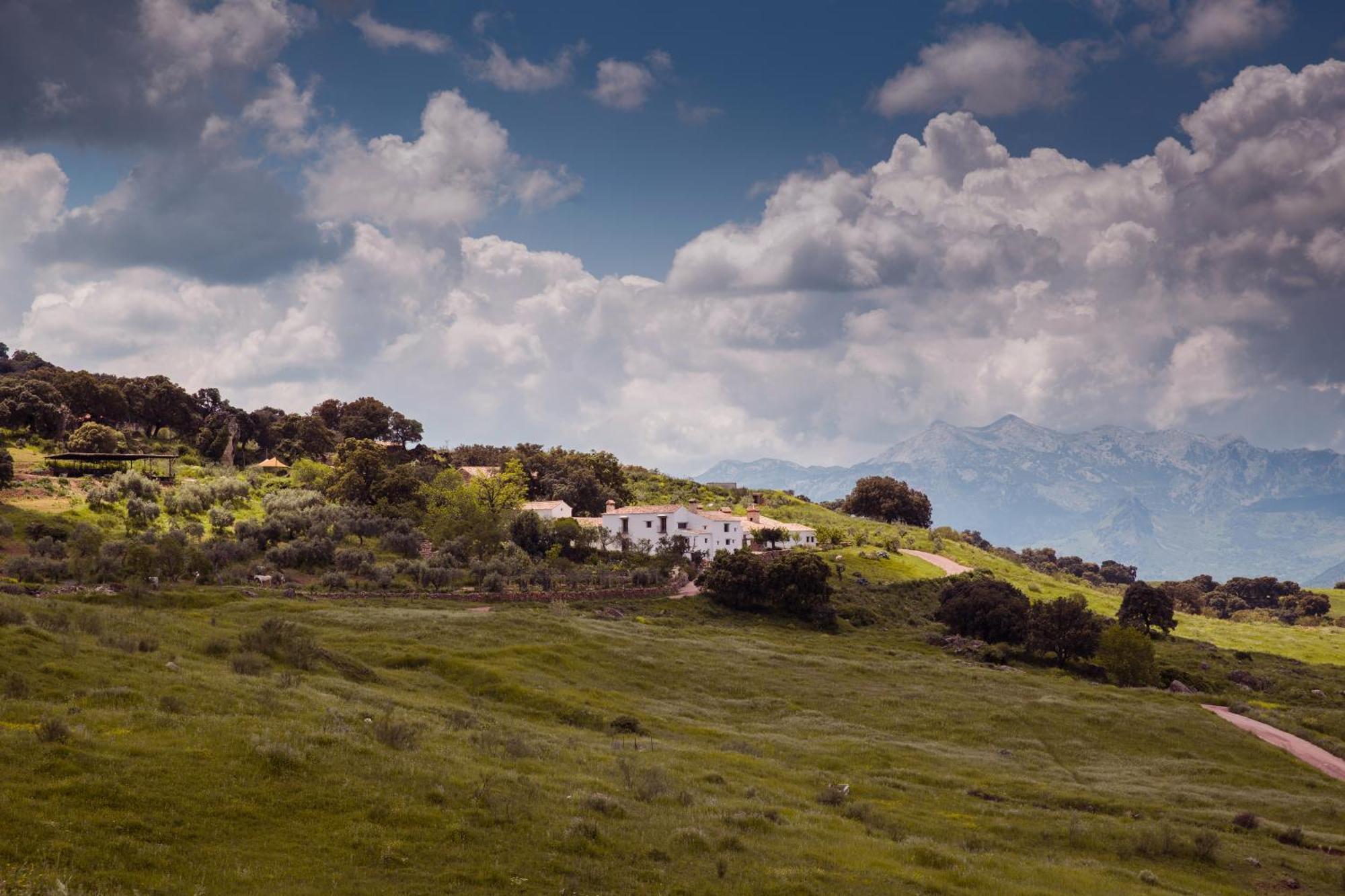 Affittacamere La Donaira Montecorto Esterno foto