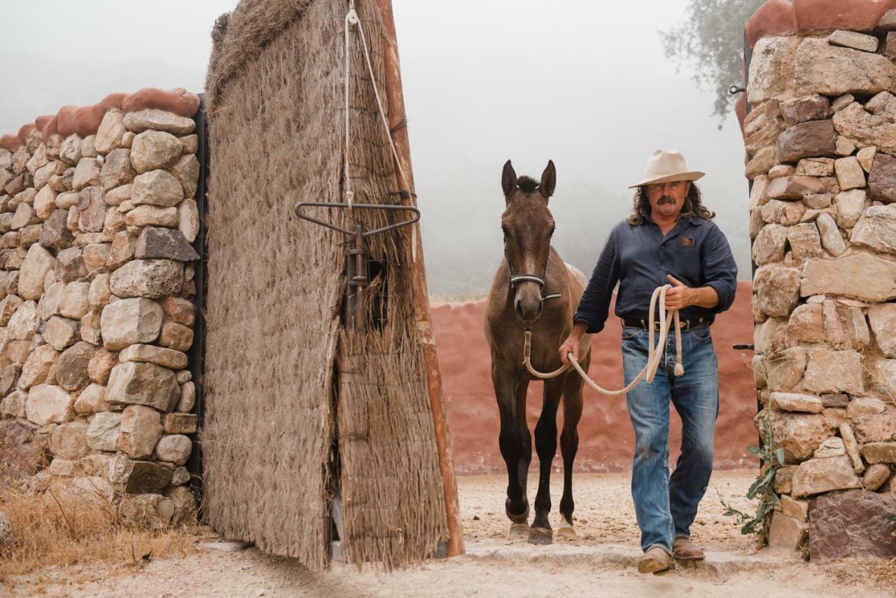 Affittacamere La Donaira Montecorto Esterno foto