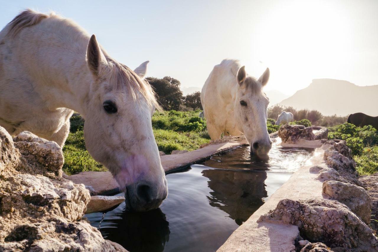 Affittacamere La Donaira Montecorto Esterno foto